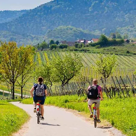 住宿加早餐酒店 Residenza Ilde 3*