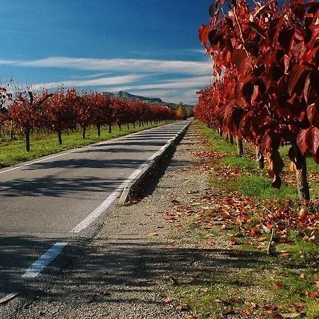 Residenza Ilde 住宿加早餐酒店 Corpolo