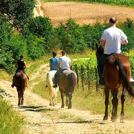 Residenza Ilde 3* Corpolo