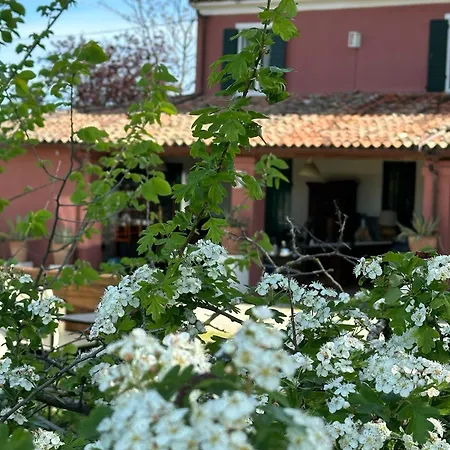 ベッド・アンド・ブレックファスト Residenza Ilde 3*