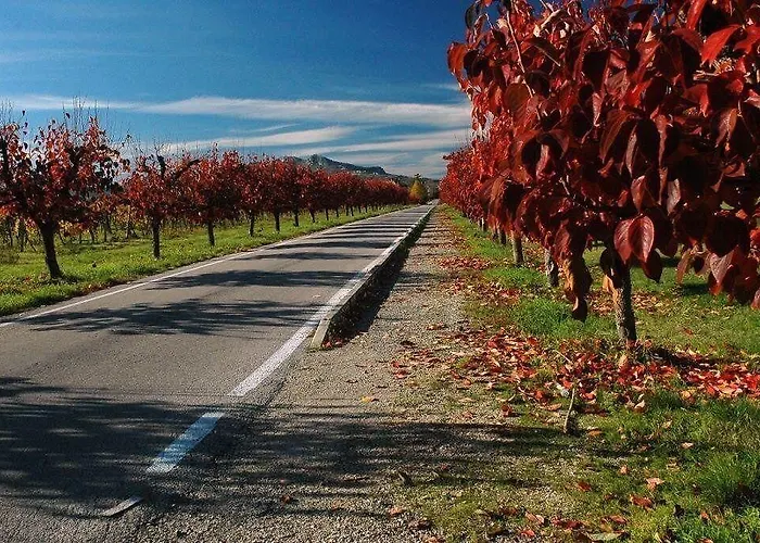 Residenza Ilde Panzió Corpolò
